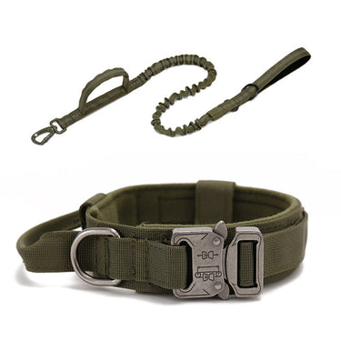 Dog Heaven™ Heavy Duty Collar & Bungee Leash